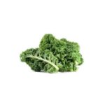 Kale, Green Curly, Bunched – Large Pack OG   24ct