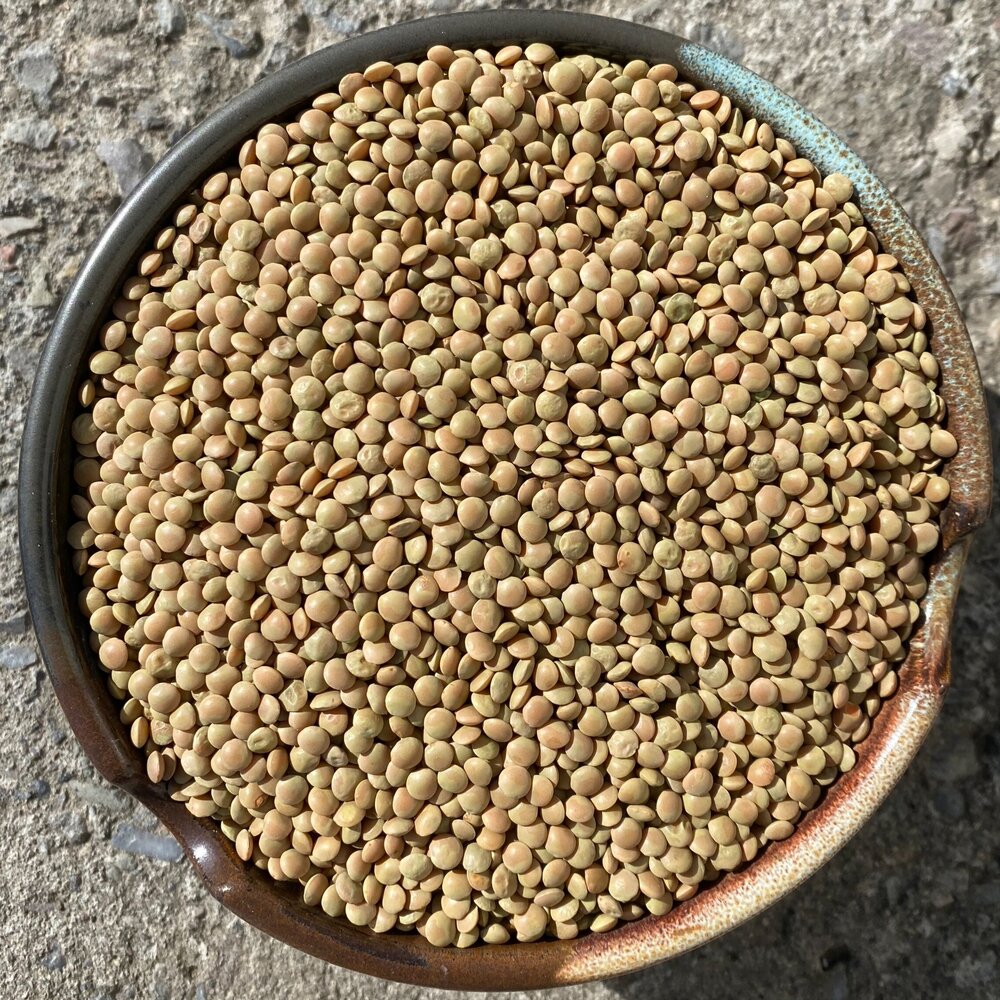 Lentils, Brown/ Green NYS Organic 25#