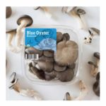 Mushrooms, Blue Oyster (Bulk) OG   3#