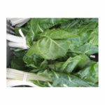 Chard, White/Green – Bunched   12ct