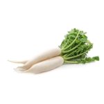 Daikon, Korean White – Small Pack OG   10#