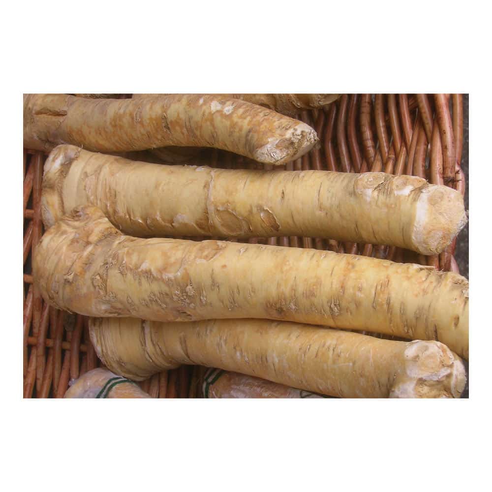 Horseradish, Fresh Topped OG 3#