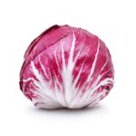 Chicory, Sugarloaf Radicchio OG   1bu