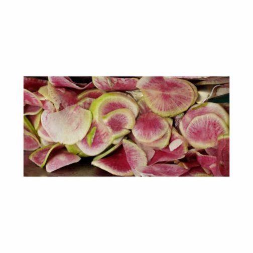 Radishes, Watermelon - Small Pack   10#