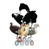 M&M Eggs