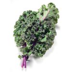 Kale, Baby Red Russian (Bulk) OG   1bu