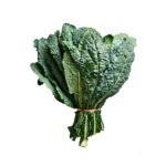 Kale, Loose Baby Tuscan OG   5#