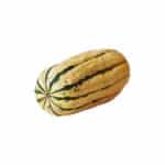 Winter Squash, Delicata   35#
