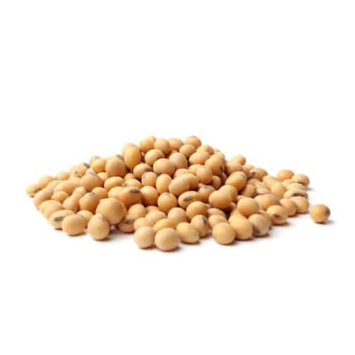 Soybeans, Organic, Vinten Variety S/O  60#