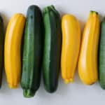 Summer Squash, Assorted (Zucchini, Etc) – Bulk Pack OG   20#