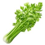 Celery, Greens – Bunched OG   12ct