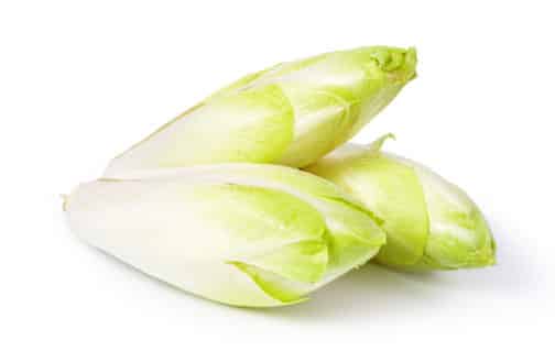 Chicory, Escarole Heads - Medium Pack OG   1bu
