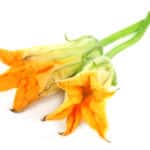 Blossoms, Summer Squash – Medium Pack OG   24ct
