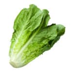 Lettuce, Baby Green Romaine Heads   2#