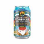 Kombucha, Strawberry Sage, Cans  12/12oz