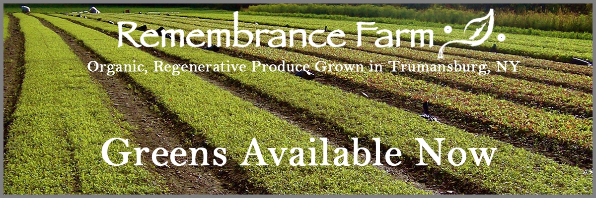 Remembrance Farm Banner_5.31.23