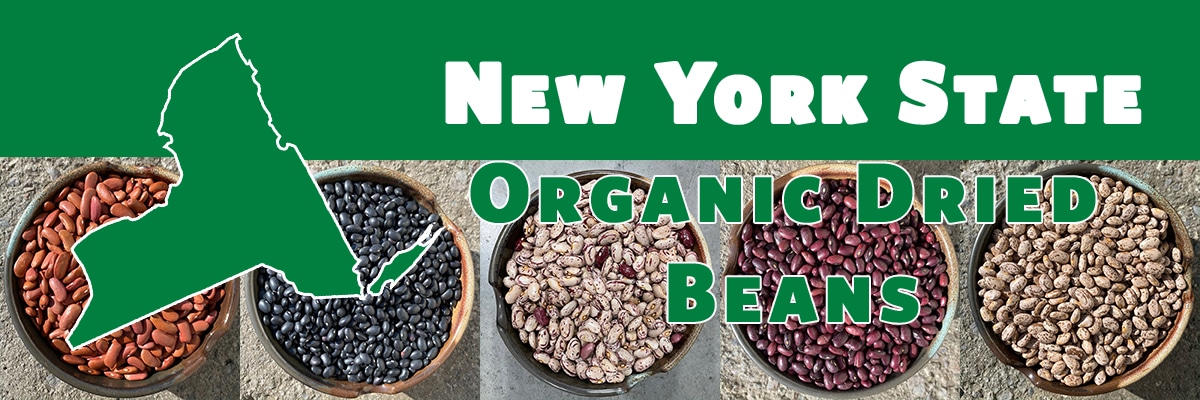 NYS Beans and Grains Banner_1.5.24 copy